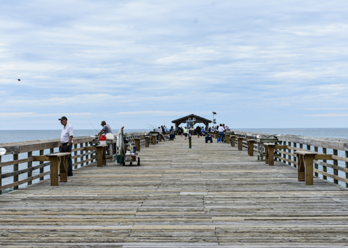 8 Reasons to Visit Myrtle Beach State Park