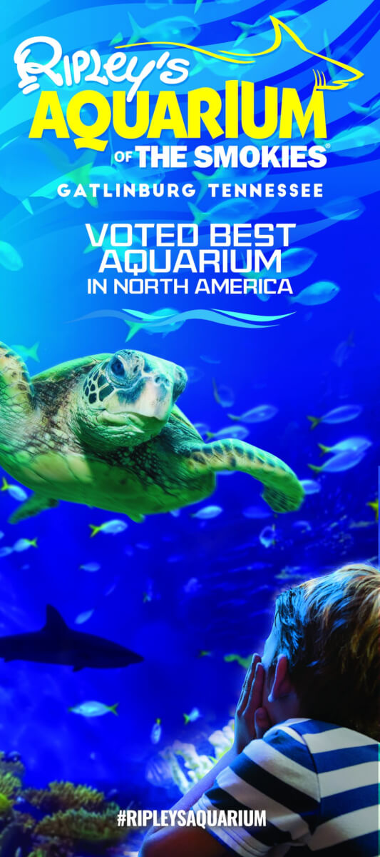 Ripley’s Aquarium of the Smokies in Gatlinburg