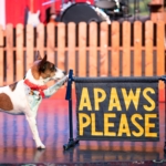 A dog puts their paw on a sign reading: 