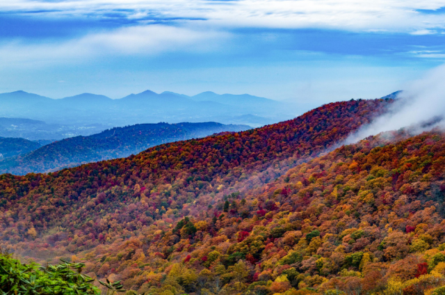 5 Surprising Facts about the Smokies