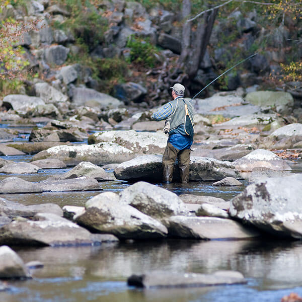 Fishing in the Great Smoky Mountains National Park