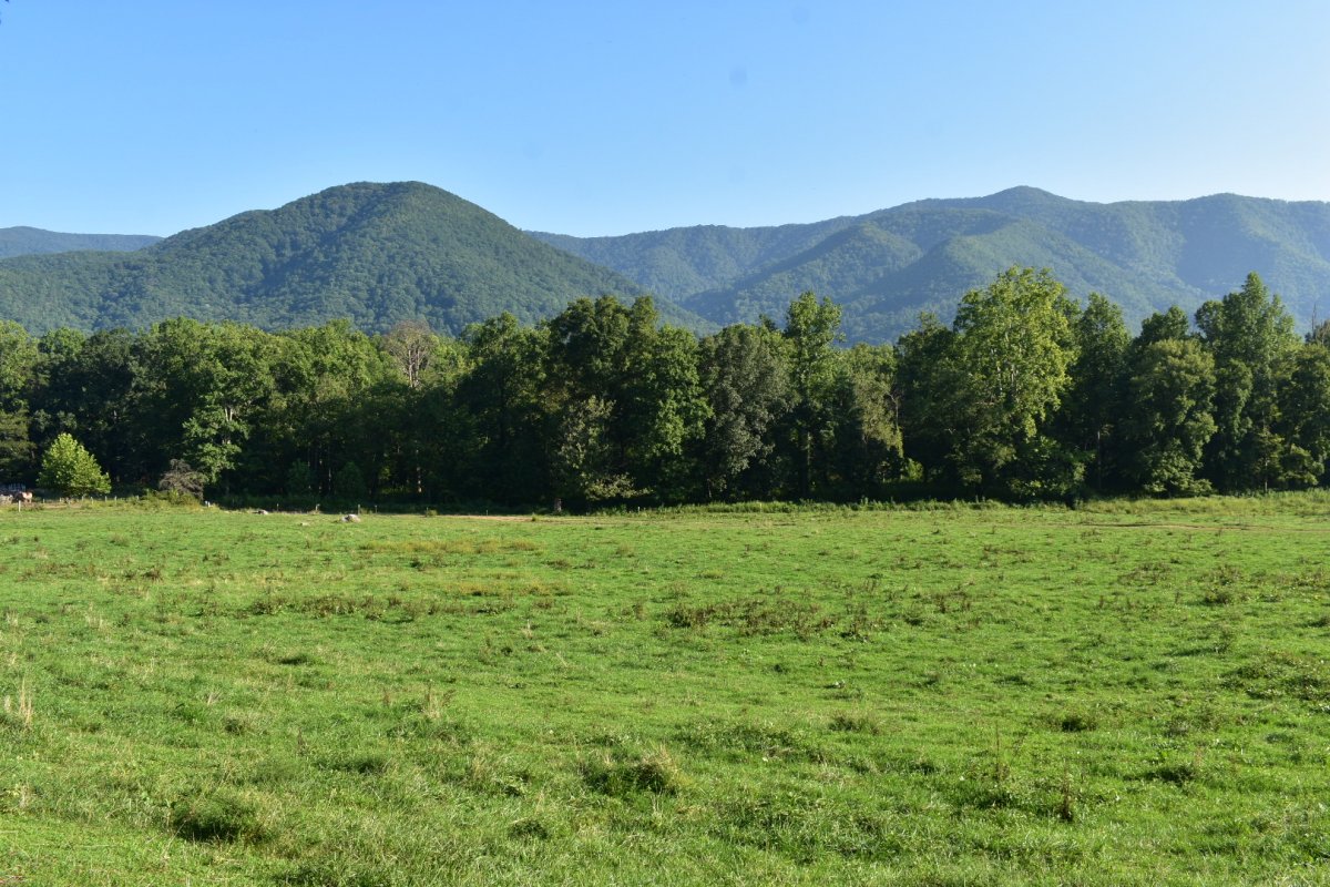 Experience Cades Cove - MobileBrochure - Smoky Mountains