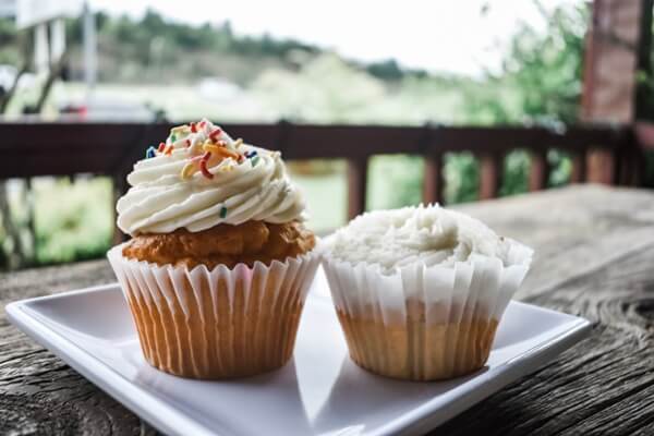 frosted cupcakes from Adina's Sweet Shop of Sevierville, TN