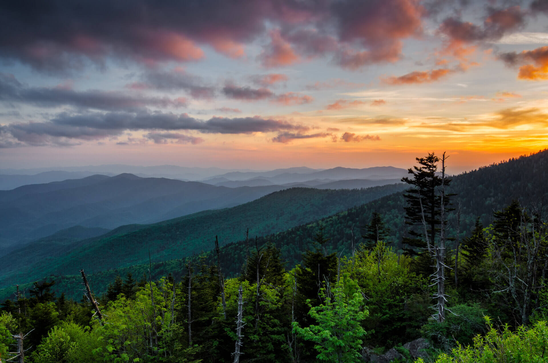 7 Most Scenic Places to Visit in The Smoky Mountains