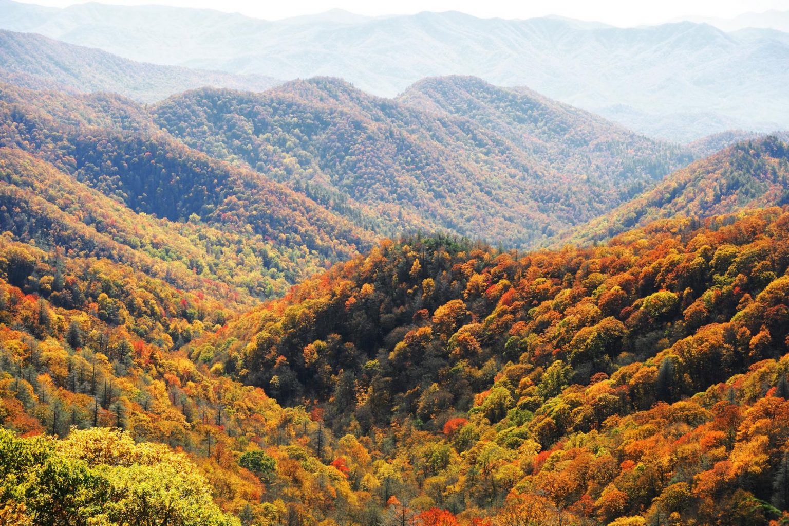 Escape to the Great Smoky Mountains for Autumn Festivities