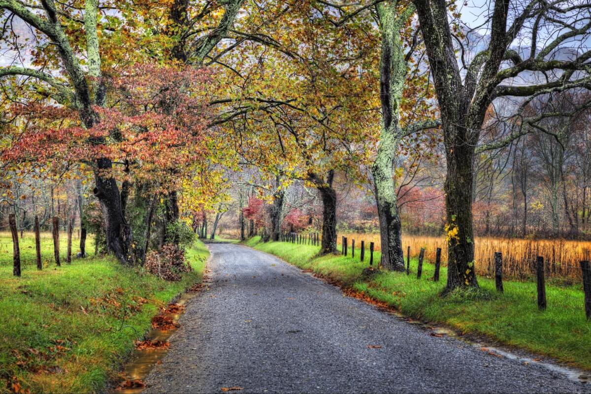 A Guide To Hiking The Great Smoky Mountains In The Fall