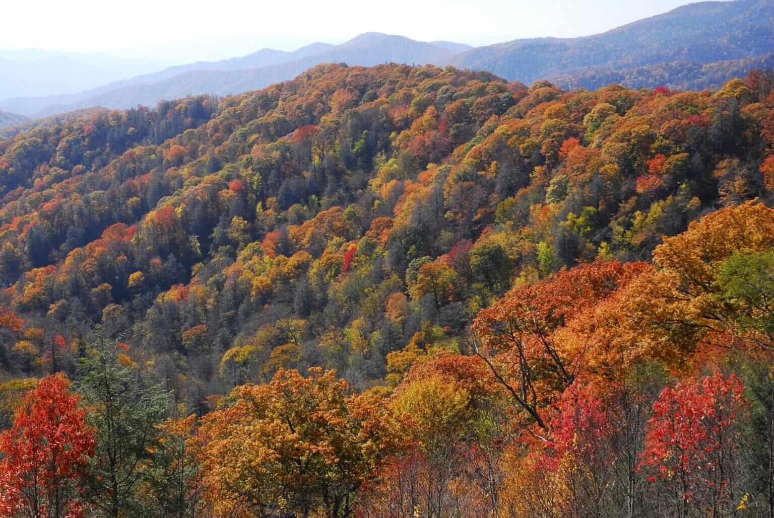 A Guide to Hiking the Great Smoky Mountains in the Fall