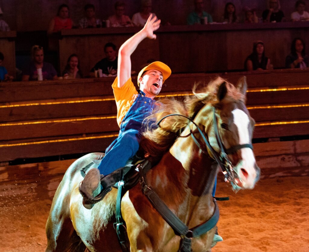 visit the Horse Walk at Dolly Parton's Stampede