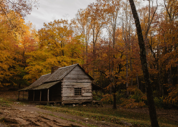 Cozy Cabins and Lodges for a Fall Getaway in the Smokies