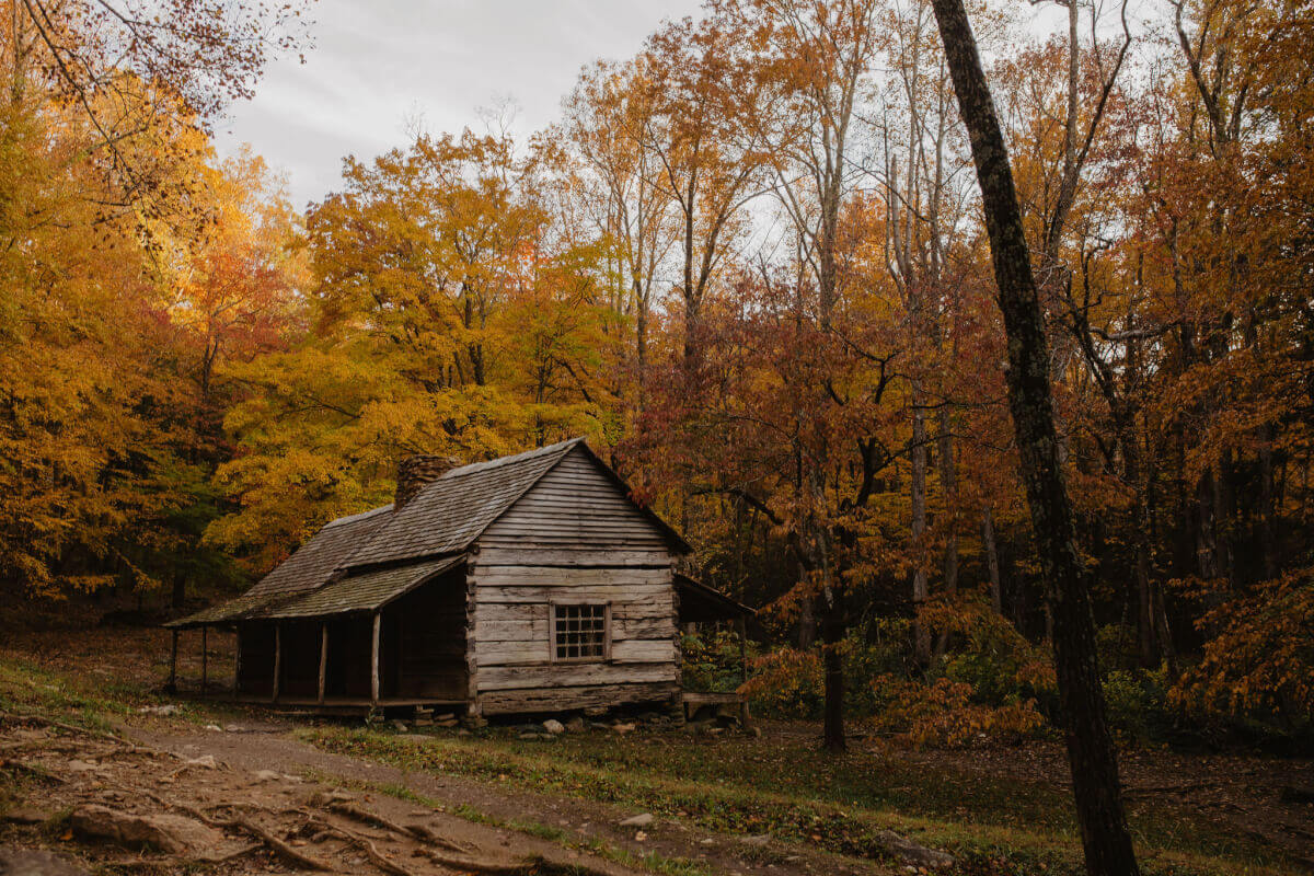 noah bud uncle cabin in great smoky mountains national park during the fall